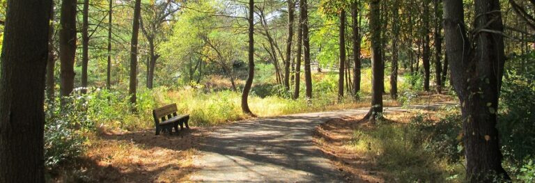 East-Goshen-Township-Park