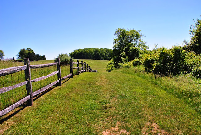 Okehocking Preserve 7