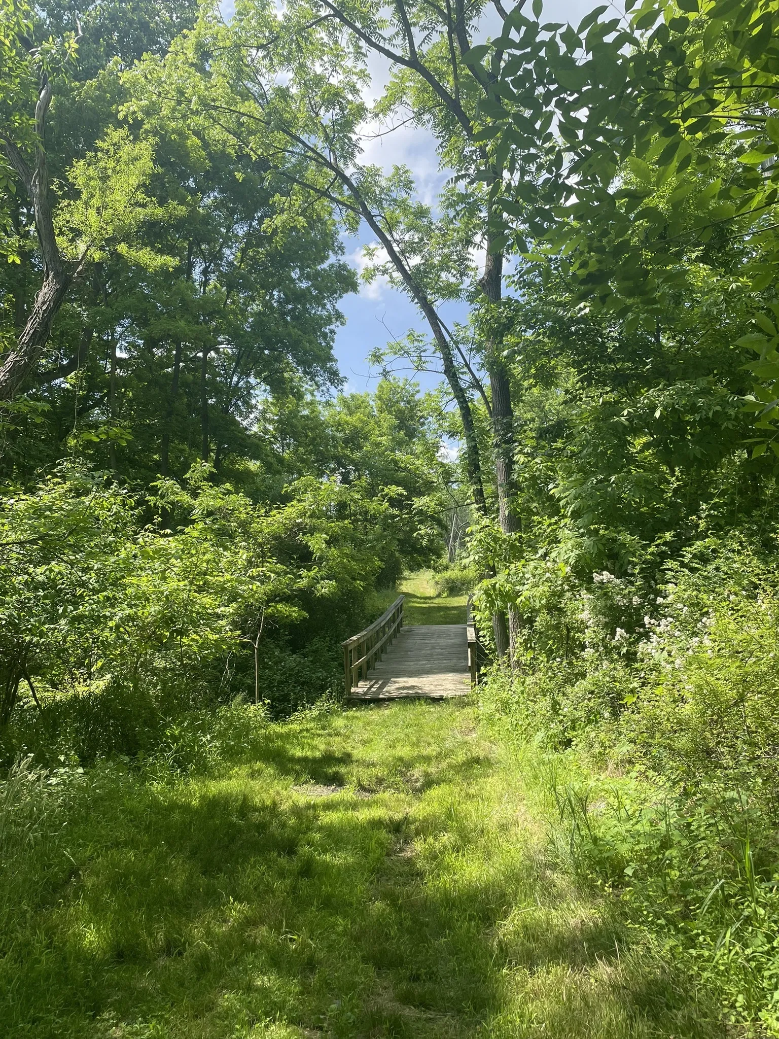 Rocky Run Trail