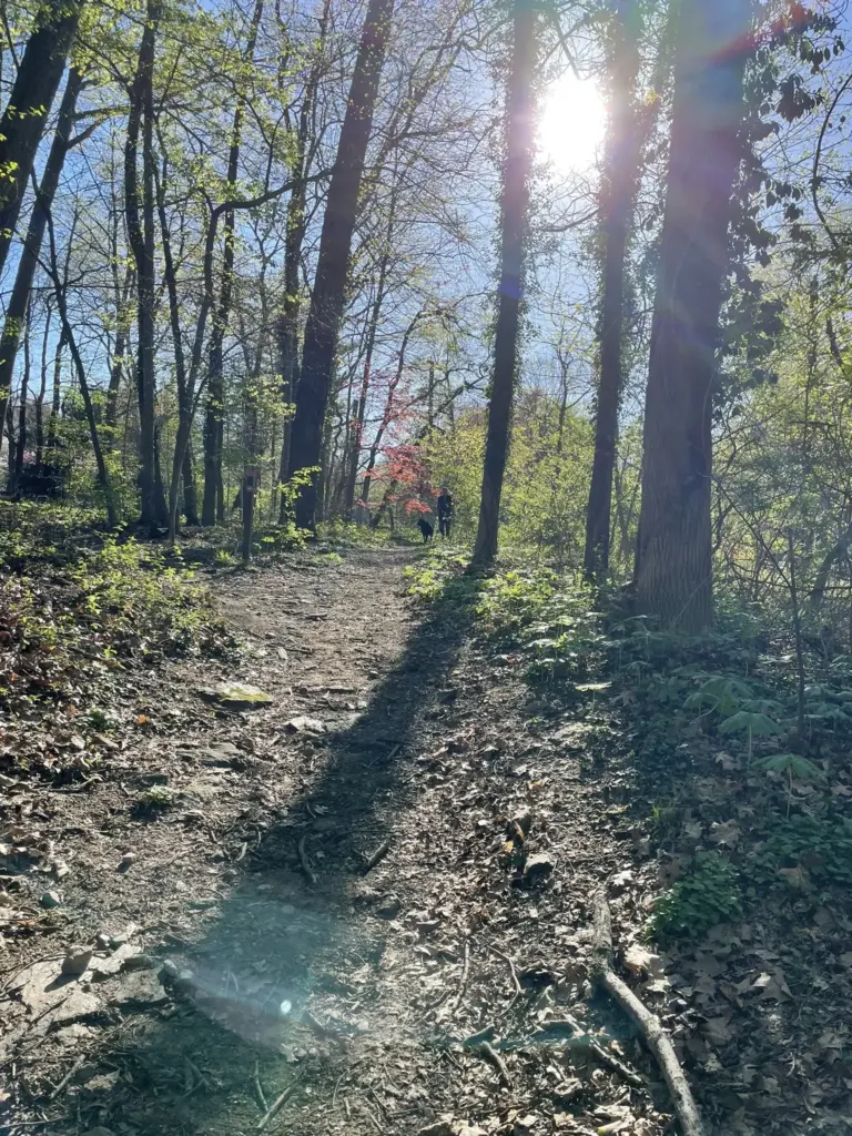 Smedley County Park