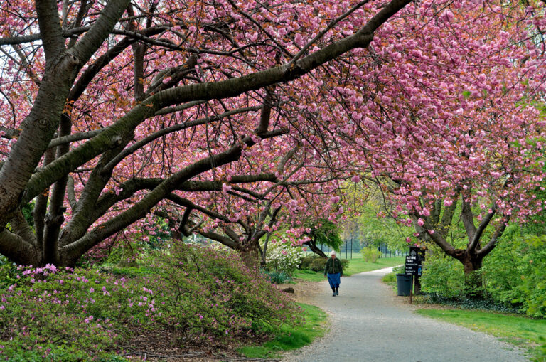 haverford-college-nature-trail