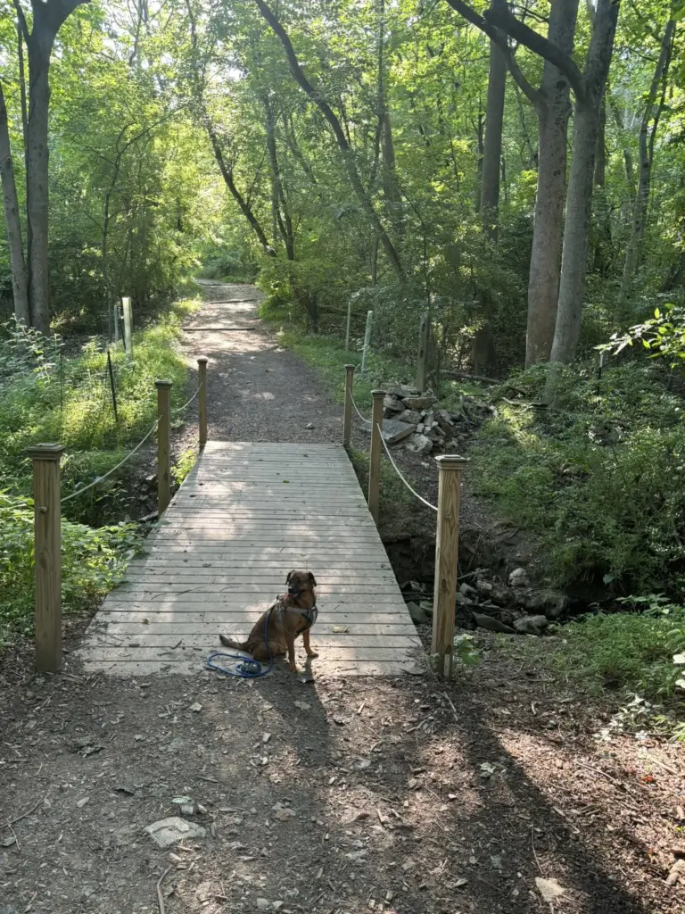 haverford-reserve-walking-trails